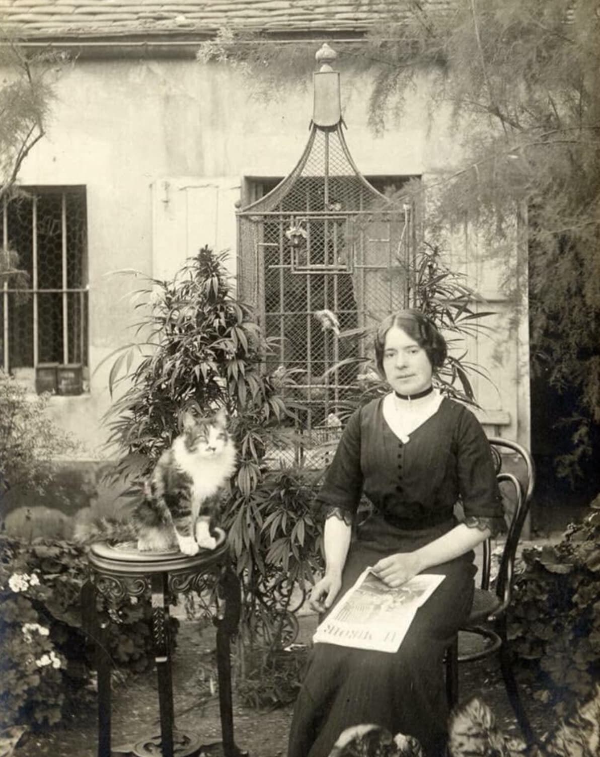 woman in her cannabis garden with her cat